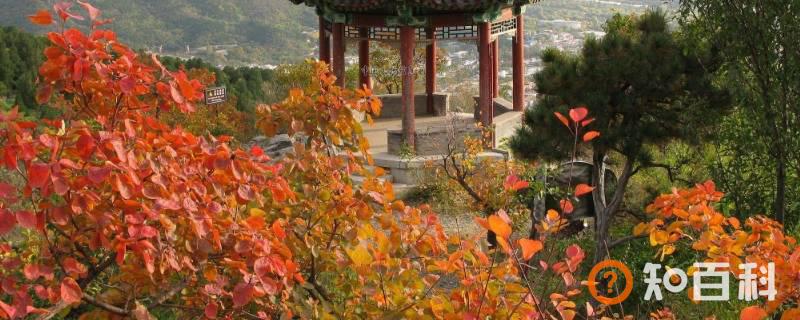 香山在哪个城市