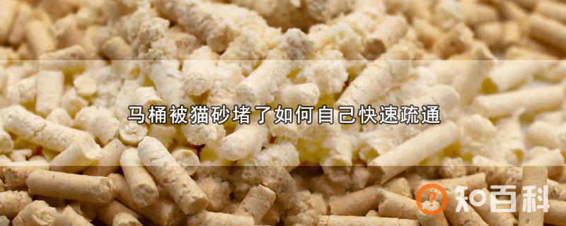 马桶被猫砂堵了如何自己快速疏通