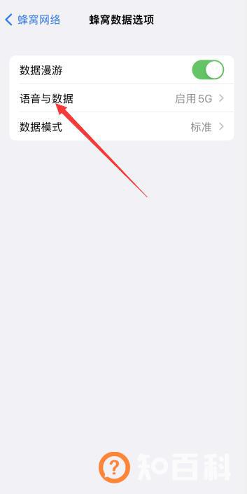 iphone关闭5g开关