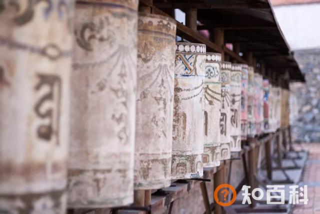 “半山半湖半花海”——发掘青海别具一格的美