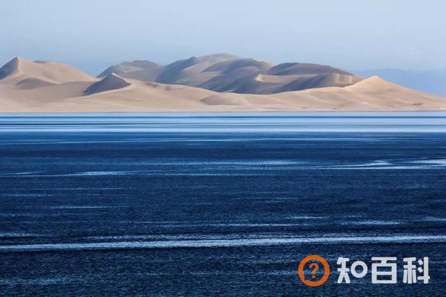“半山半湖半花海”——发掘青海别具一格的美