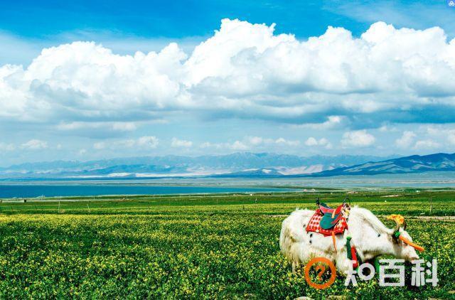 2019年西北大环线游必读攻略，含食住行～