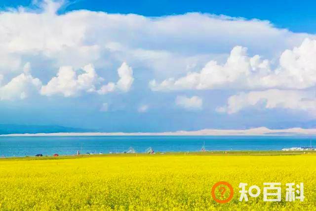 青海湖周边热门景点大揭秘