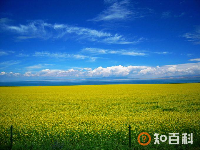青海经典大环线行程详解