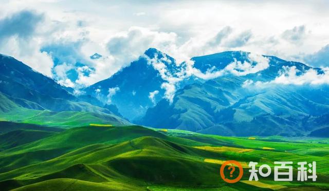 “半山半湖半花海”——发掘青海别具一格的美