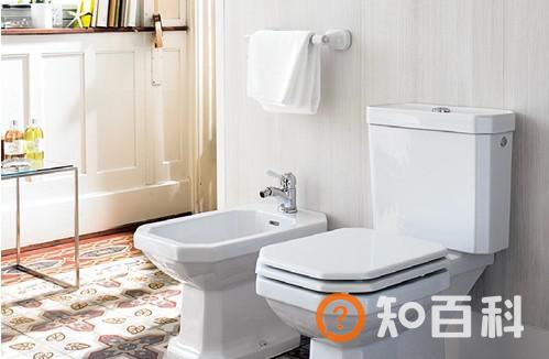 你以为“节水马桶”真的节水吗？