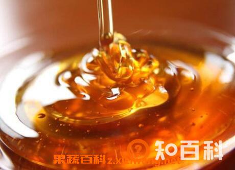 黄连蜂蜜的作用与功效