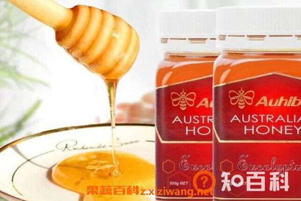 红桉树蜂蜜的功效与作用 红桉树蜂蜜怎么样