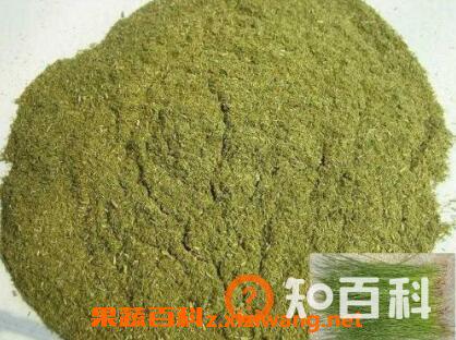 松针花粉的功效与作用