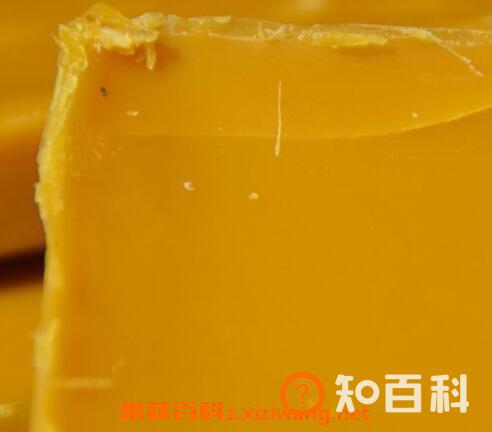 怎么提炼蜂蜡 提炼蜂蜡的步骤教程