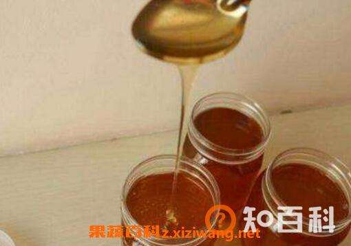 枣花蜜如何使用 枣花蜜的喝法