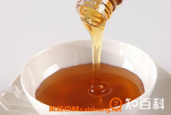 桉树蜂蜜的作用与功效 桉树蜂蜜好喝吗