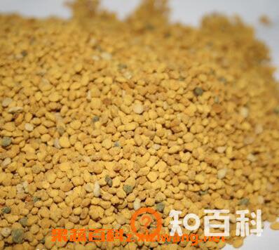 菊花粉的作用与功效
