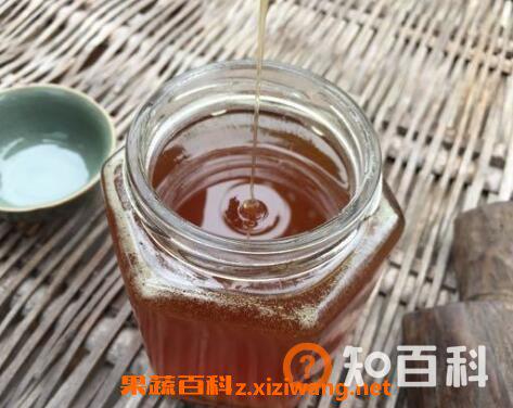 土蜂蜜的功效与作用有哪些