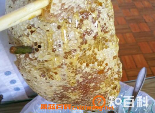 什么是野蜜 野蜜的功效与作用