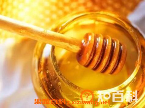 蒸蜂蜜的功效与作用