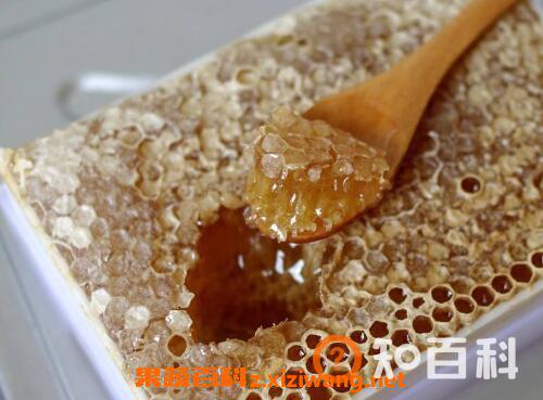 蜂巢怎么吃正确 蜂巢怎么存放