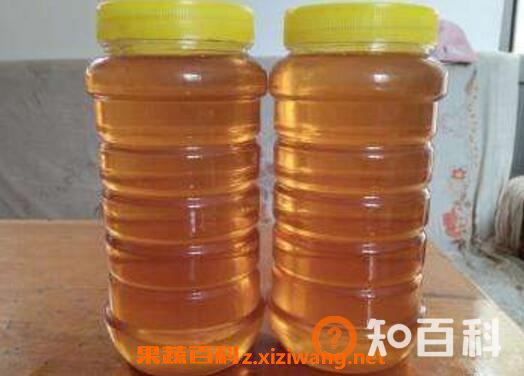 山枣蜜的功效与作用