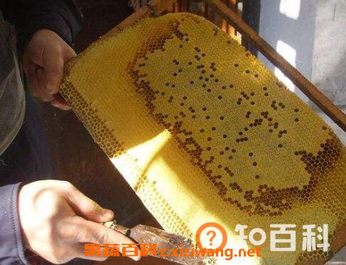 如何将蜂蜜与蜂蜡分离 蜂蜡的用途