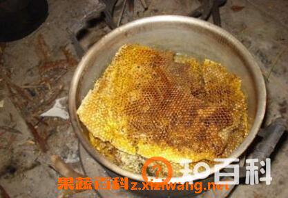 蜂巢如何提取蜂蜡 从蜂巢中提取蜂蜡方法技巧