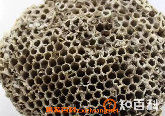 蜜蜂窝泡酒有什么功效 蜂窝泡酒的作用与功效