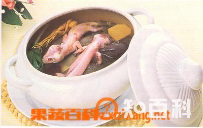蛤蚧的功效与作用