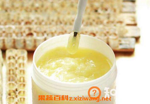 蜂王浆怎么吃好 蜂王浆的常见吃法