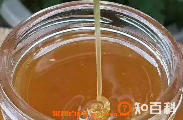 野坝子蜜的作用与功效 野坝子蜜的食用方法