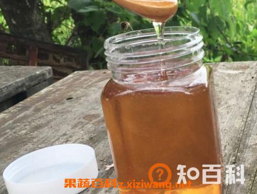 荆花蜜的功效与作用