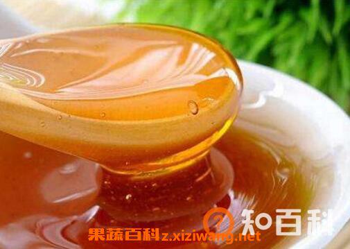 枣花蜜的作用与功效