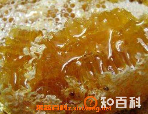 土蜂蜜的功效与作用有哪些