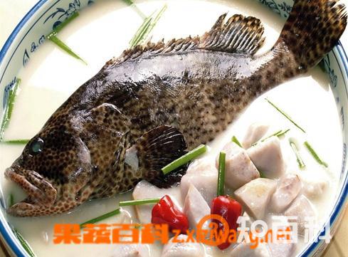 石斑鱼的营养价值 吃石斑鱼的好处