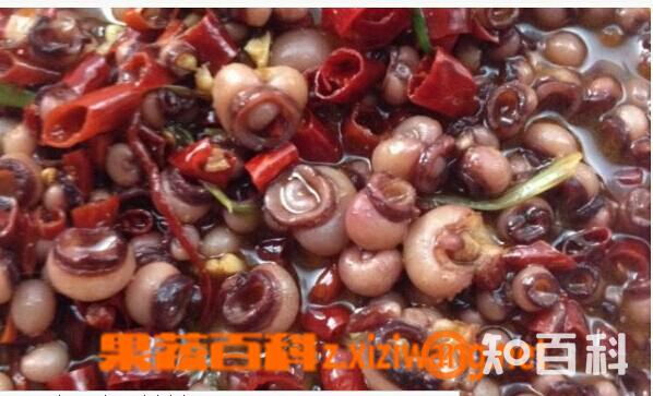 海灵菇是什么 海灵菇的做法