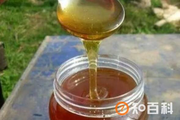 酸枣花蜜的功效与作用及药用价值