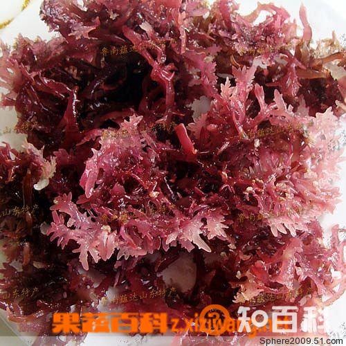 石花菜的功效与作用