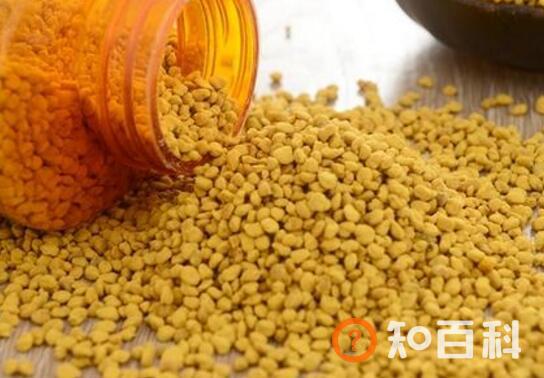 油菜花粉怎样吃最有效 油菜花粉吃法技巧