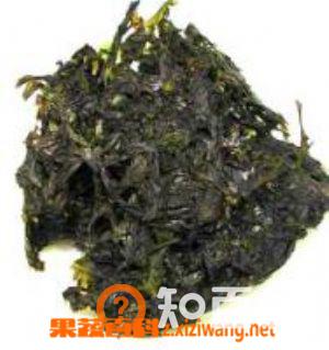 紫菜不能和什么一起吃