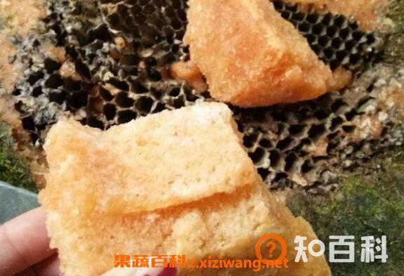 岩蜜怎么吃 岩蜜的食用方法有哪些