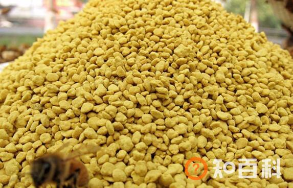 油菜花粉怎么服用 油菜花粉的食用方法