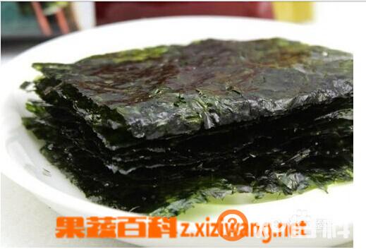 海苔的营养价值有哪些