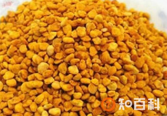 五味子花粉怎么吃 五味子花粉的食用方法