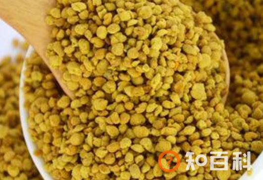 油菜蜂花粉的功效与作用 吃油菜蜂花粉的好处