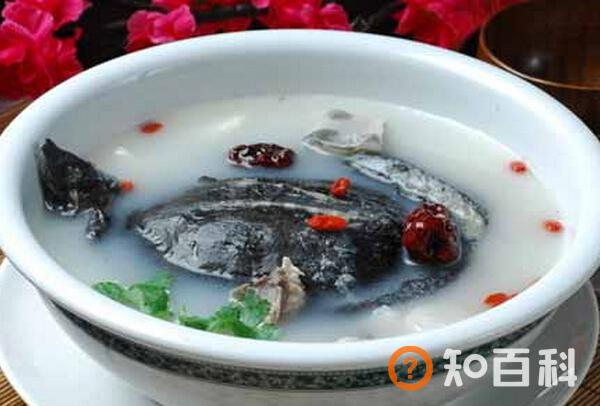 甲鱼汤的功效 吃甲鱼汤的好处