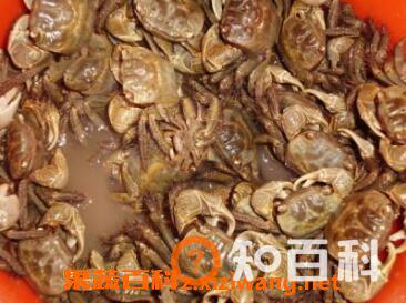 斗蟹的功效与作用 斗蟹的营养价值
