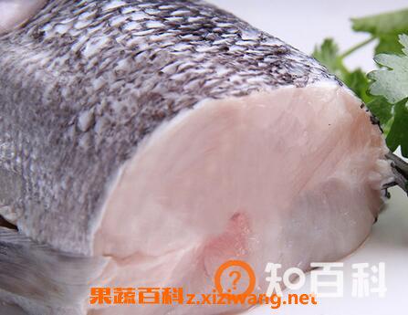 蓝鱈鱼的功效和作用 蓝鱈鱼的营养价值