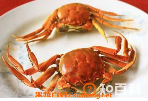 螃蟹不能和什么一起吃 螃蟹和什么相克