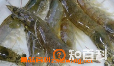 白虾和基围虾的区别