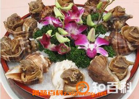 管角螺的营养价值与好处