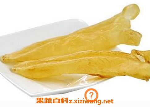 鲑鱼鱼胶的功效与作用