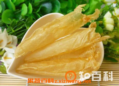 普通鱼胶的功效与作用